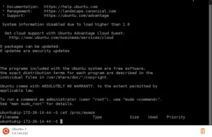 Amazon Lightsail with no swap Amazon Lightsail with no swap