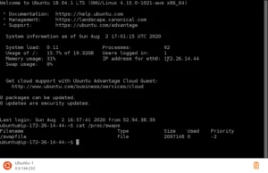 Amazon Lightsail with swap Amazon Lightsail with swap