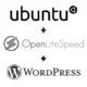 WordPress and <abbr title="OpenLiteSpeed">OLS</abbr> Installation on <abbr title="Amazon Web Services">AWS</abbr> Lightsail 2 Ubuntu 18.04LTS with OpenLiteSpeed and WordPress